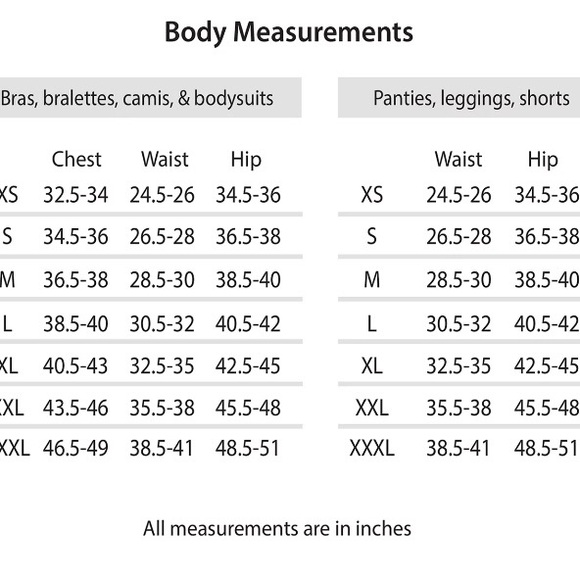 Sofia Intimates by Sofia Vergara Sheer Mesh Color Block Balconette Size 34C - Picture 11 of 12